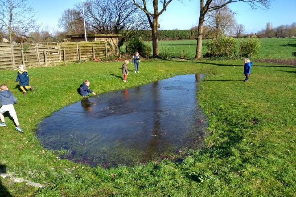 Webinar: Regenwater en vergroenen slim combineren 