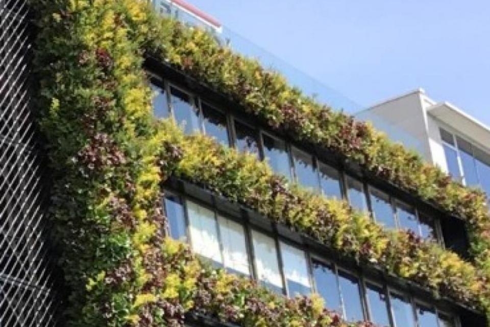 ING Fonds voor Duurzame Gebouwen wil gevels van openbare gebouwen vergroenen