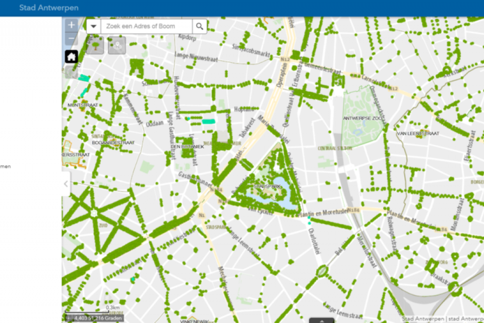 Stad Antwerpen brengt ruim 100.000 bomen in kaart