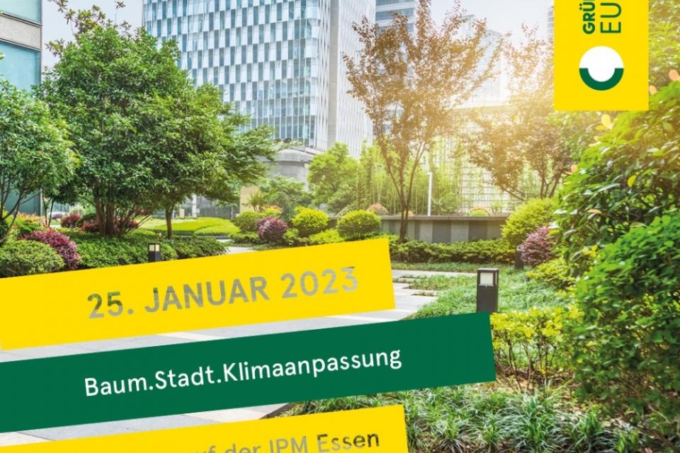 Seminarie IPM / Stadsbomen en klimaatverandering