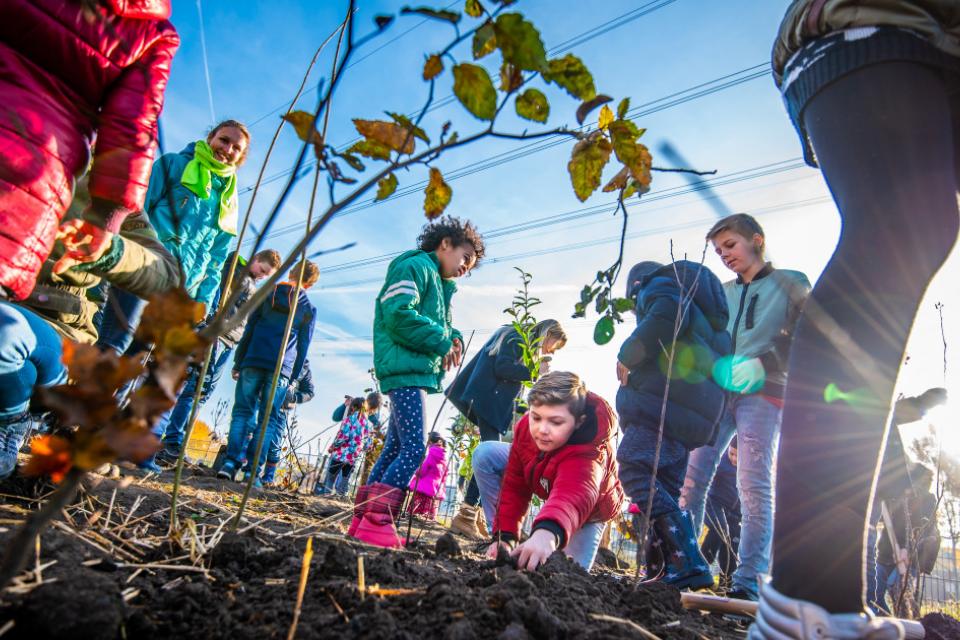 Nederland plant 80 Tiny Forests en 400 Tuiny Forests aan