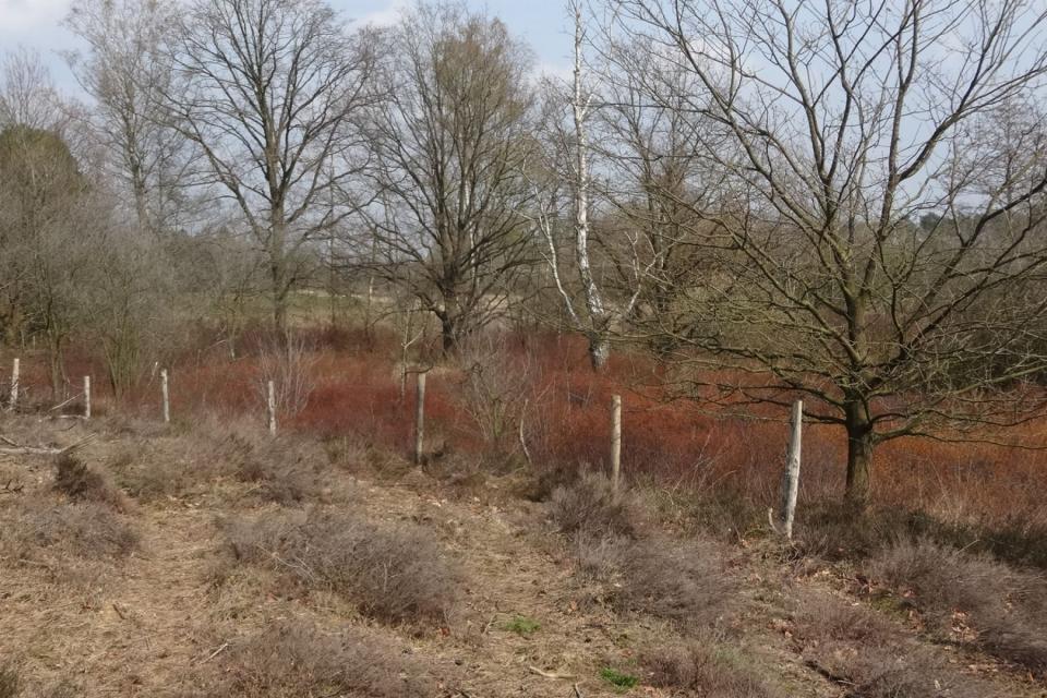 Landschapscontactdag / Collectieve landschappen