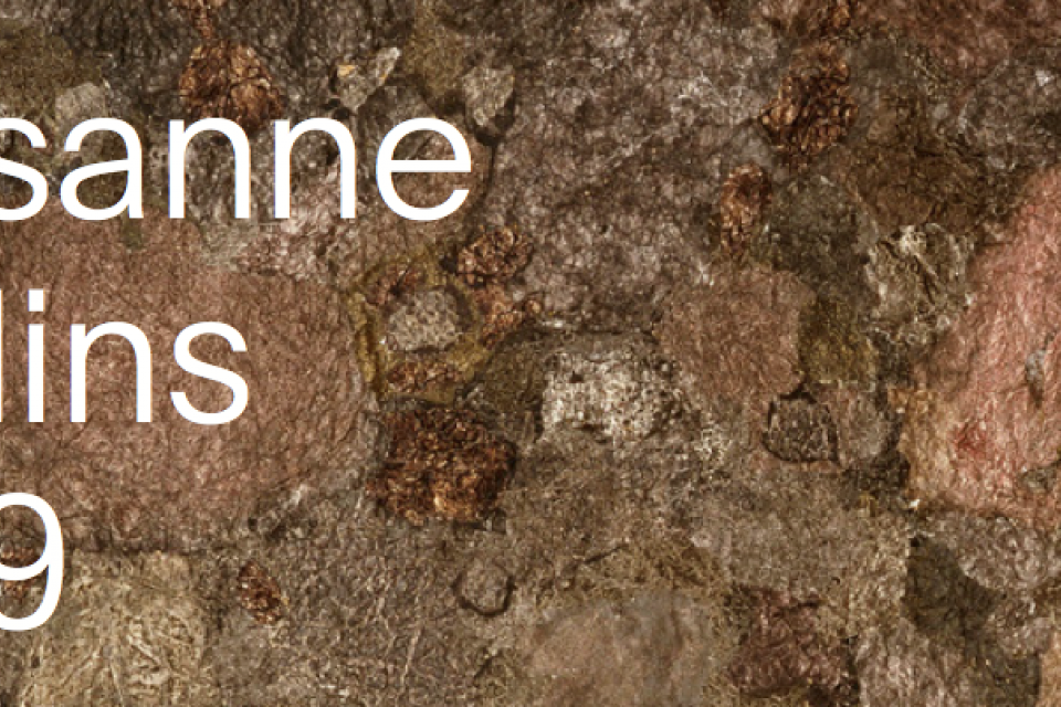 Lausanne Jardins 2019 / De herovering van de publieke ruimte