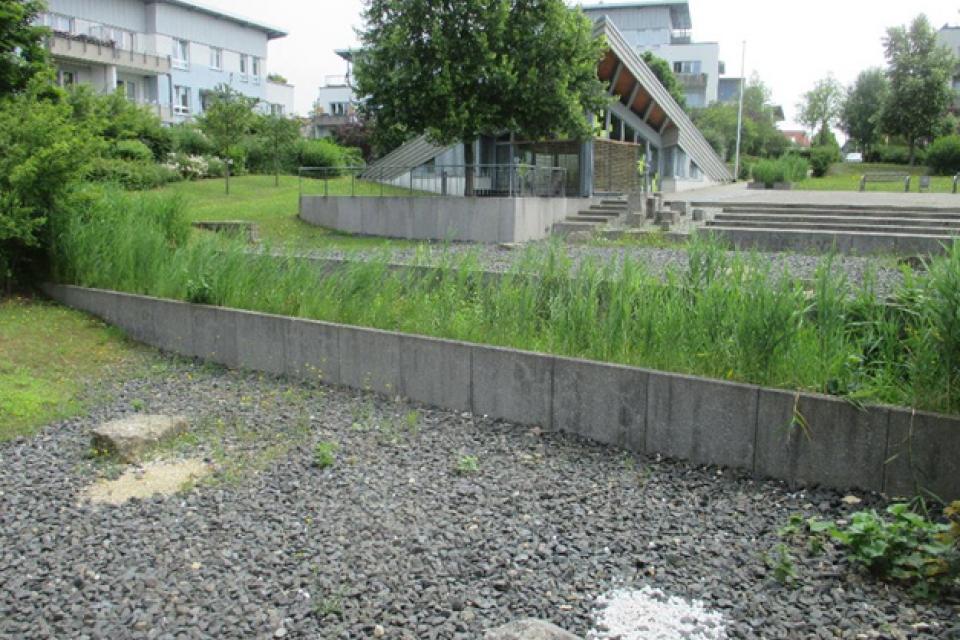 Kubiekeruimte / Online-lezing ‘Koester het hemelwater in tuinen, parken en pleinen’