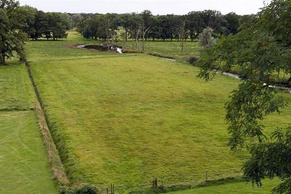Vlaanderen koopt Domein De Markgraaf aan de Kalmthoutse Heide