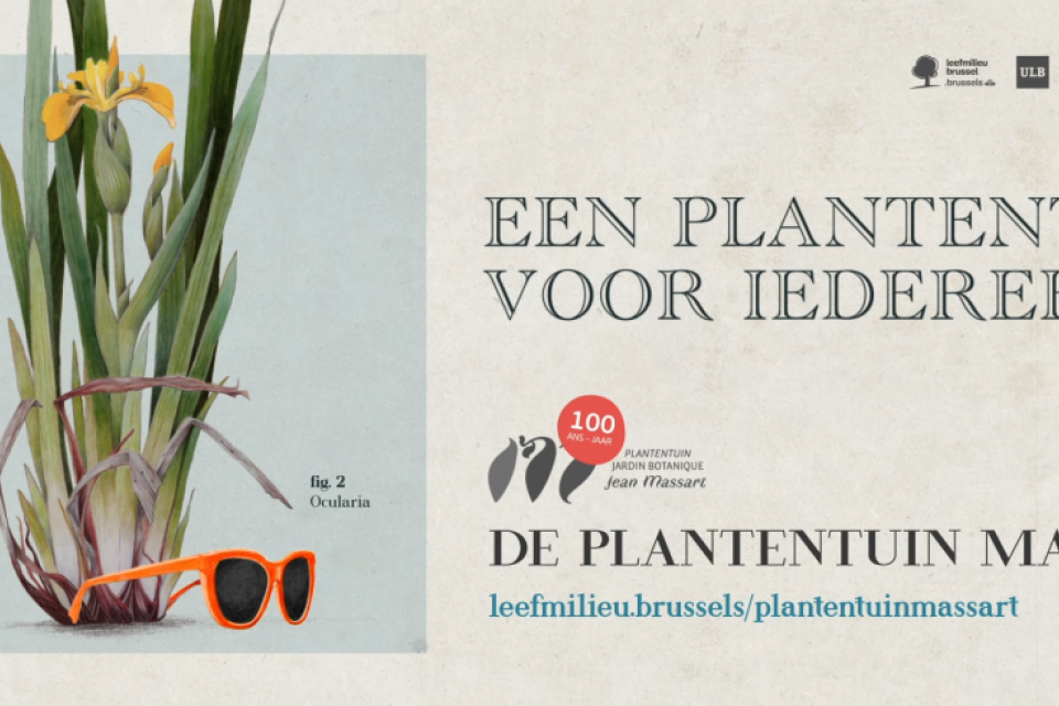 Brussel / Viering 100 jaar Plantentuin Jean Massart