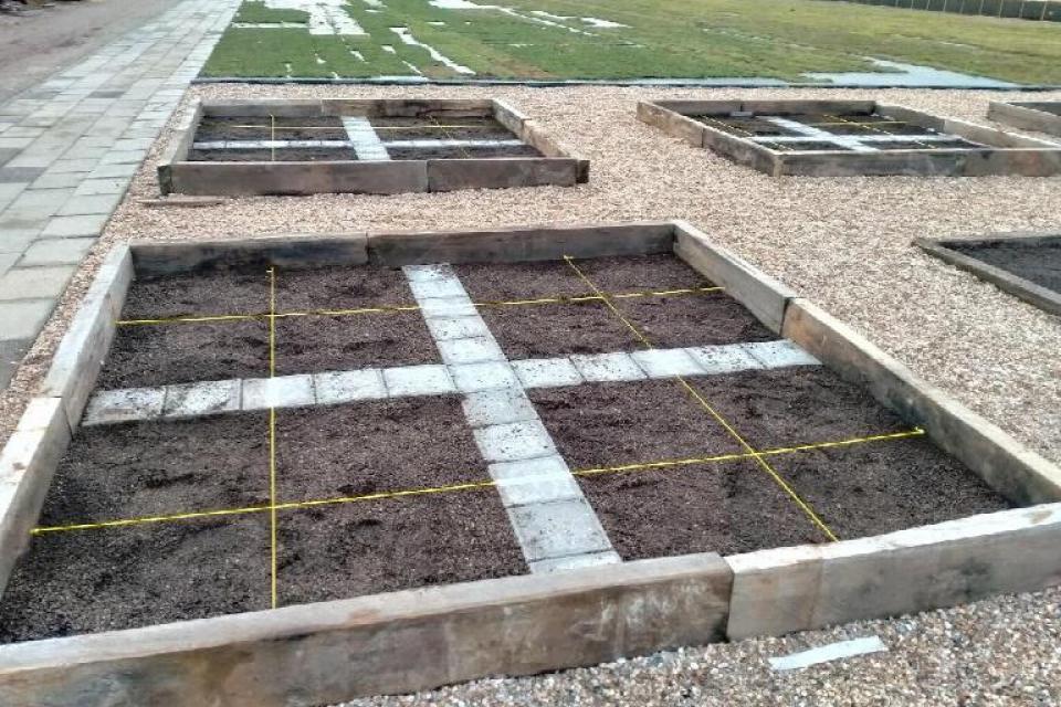 Onderzoek naar biodiversiteit van groene daken