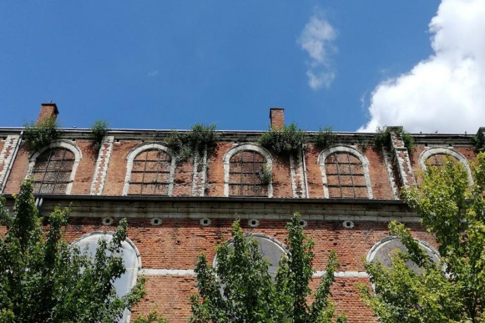 NatureOrNot-enquête over natuur in de stad
