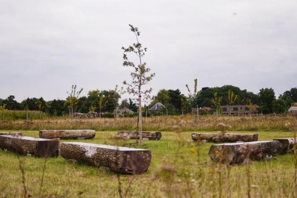 Natuurbegraafplaats Drongen: geen gedenktekens en bioafbreekbare kisten 