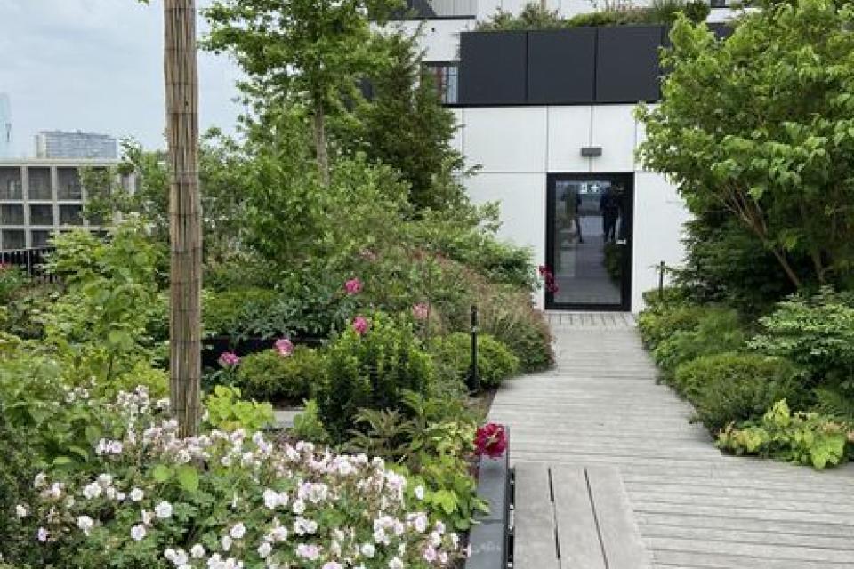 Geen bouwteams zonder landschapsbouwers