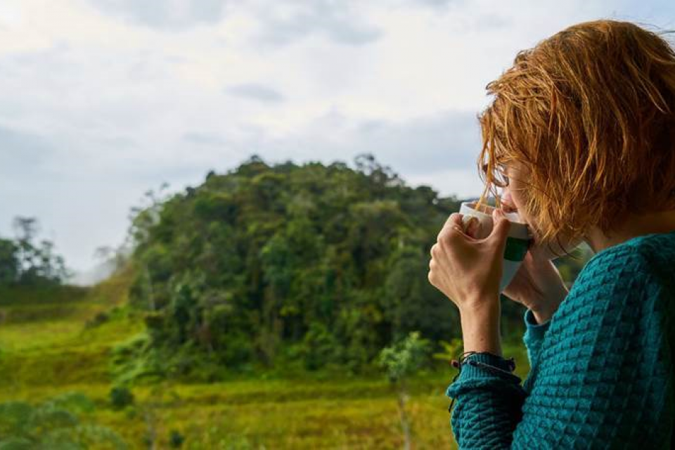 Het corona-natuuronderzoek