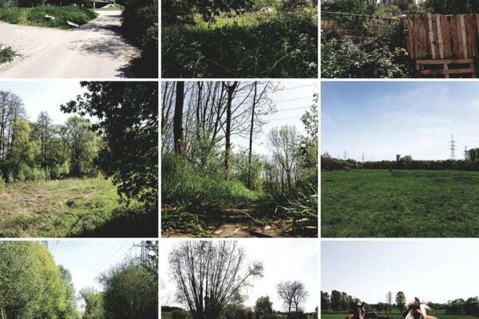 Conferentie / Natuur in de stad