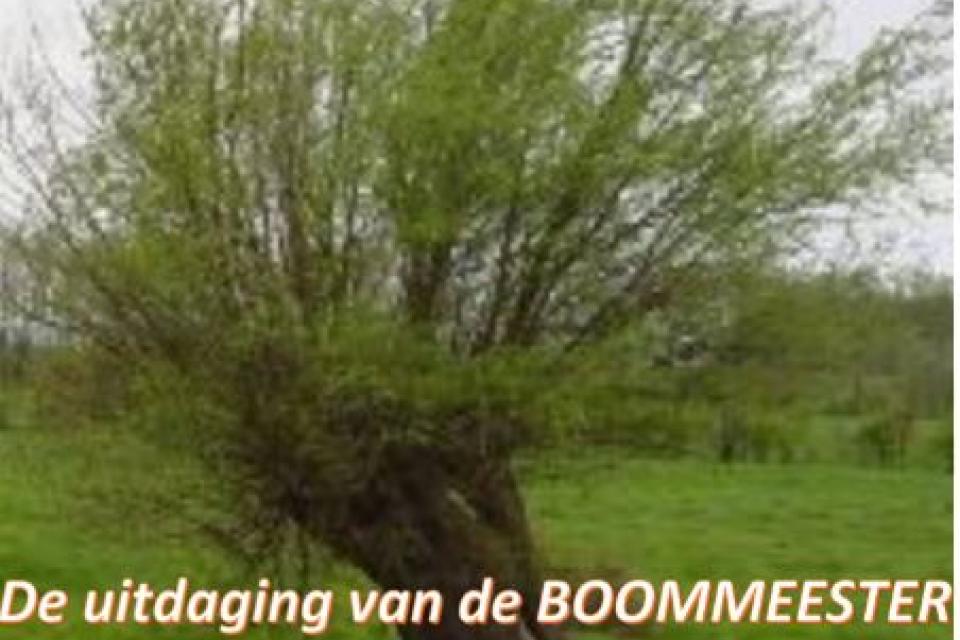 De uitdaging van de BOOMMEESTER: Wilgen poten voor het klimaat 