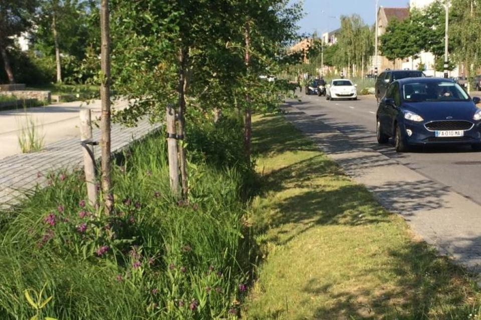 SUSTAINABLE.STREET.BRUSSELS: onlinetool om de milieucapaciteit van het wegennet te beoordelen 