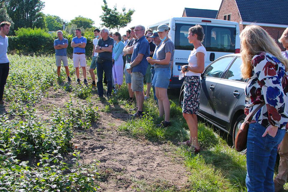 Over het belang van certificering in de groensector