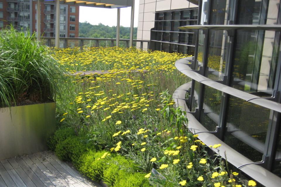 Groendak op Oehme in Zweden