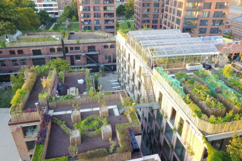 Bezoek de dakboerderij van PAKT in Antwerpen