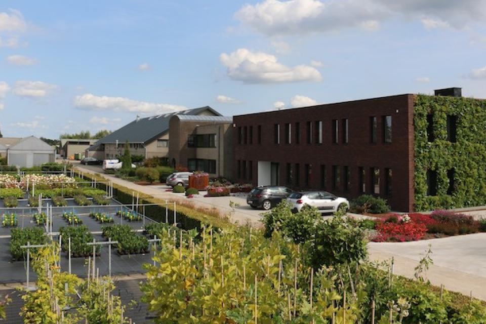 Stedelijke groenvoorziening: Sectorbevraging voor tuinaannemers 