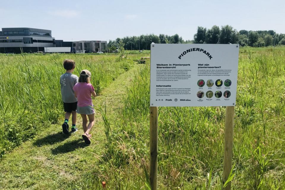 Amsterdam opent nieuw stadspark waar spontane natuur de kans krijgt