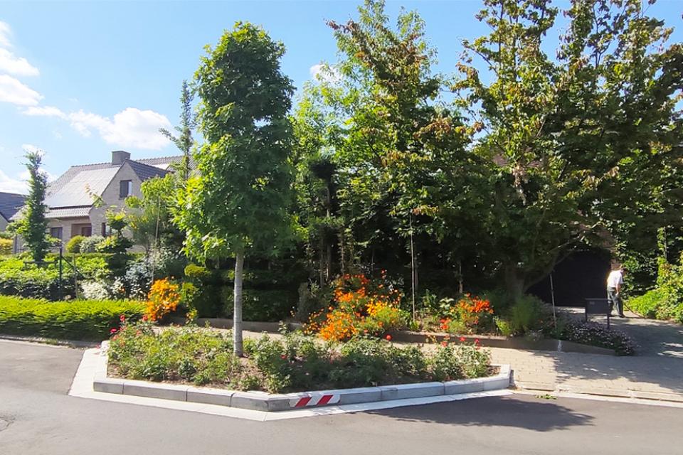 Excursies ‘Naar een efficiënt waterbeheer met groenzones’