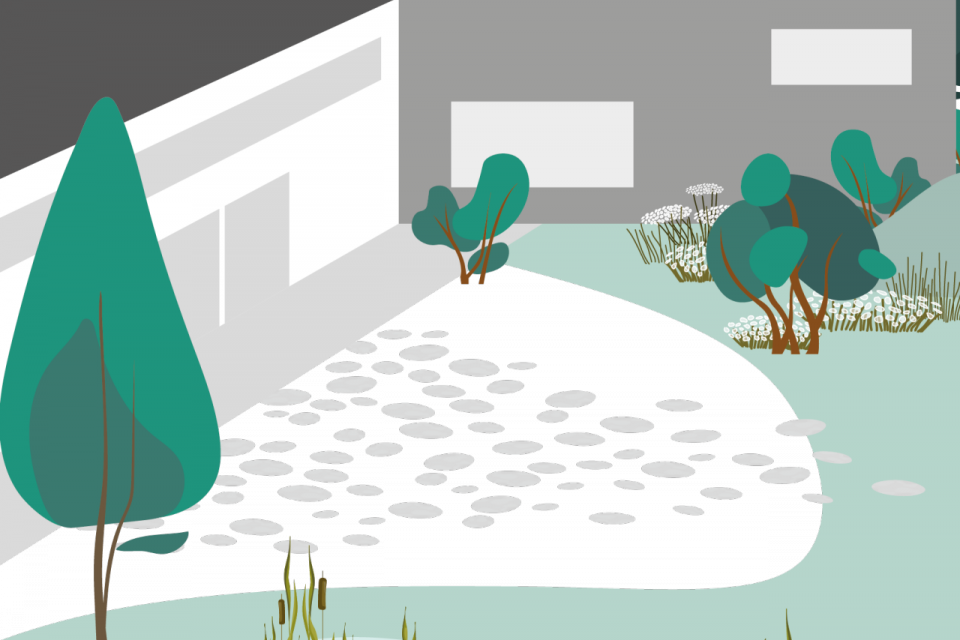 Antwerpen / Project ‘Maak van je school een groene oase’