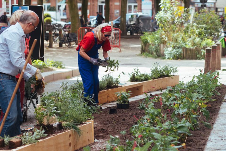 Antwerpen / Lange Riddersstraat wordt een tuinstraat