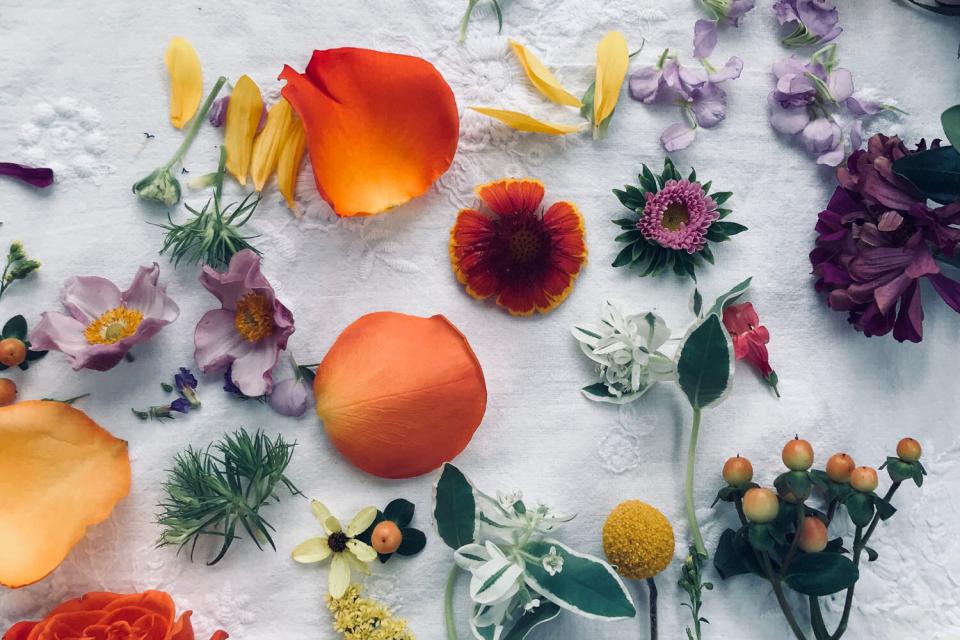 Rozenfestival ontluikt in Rozentuin Coloma