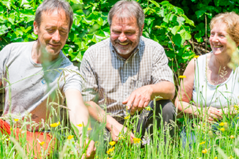 Mag je nog samentuinen?