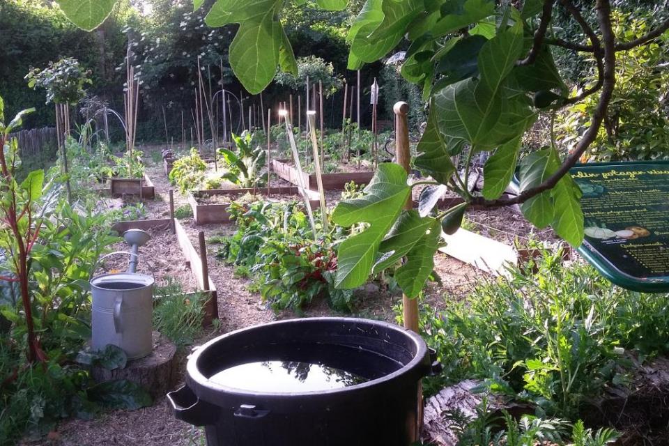 Onderzoek over positief effect van biodiversiteit in en rond de school