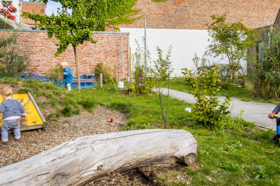 Antwerpen / Zes kinderdagverblijven vergroenen hun buitenruimte