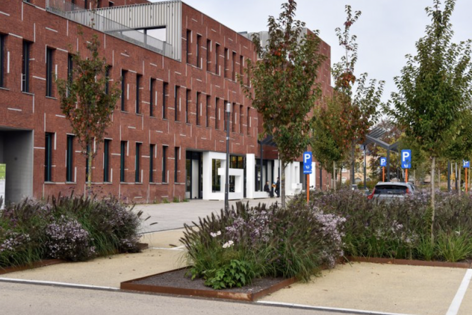 Groenaannemer-award 2021 voor ‘Omgevingsgroen gemeentehuis Beveren’