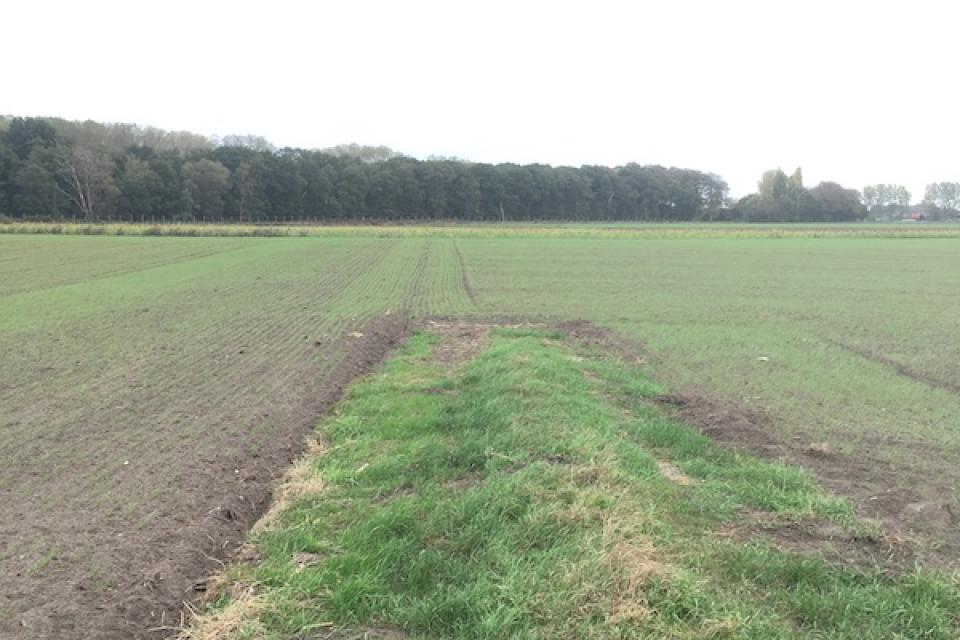 Landmark gezocht voor Vloethemveld