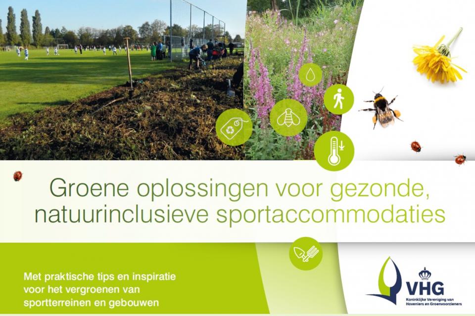 Meer biodiversiteit op en rond sportaccommodaties mogelijk