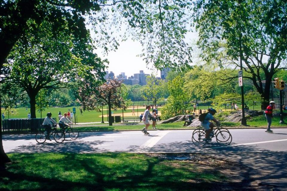 Wetenschappelijke basis voor stadsvergroening