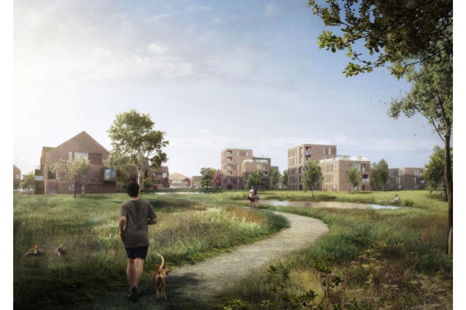 Steden dragen bij aan herstel biodiversiteit