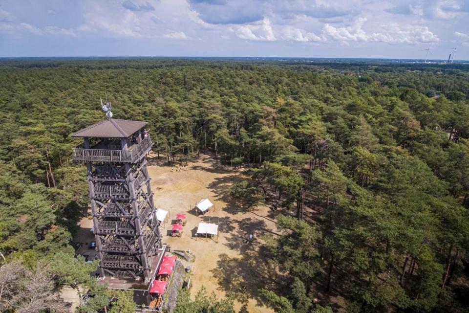 Kubiekeruimte | Studietrip Kempische heuvelrug en groenblauwe dooradering Stad Herentals