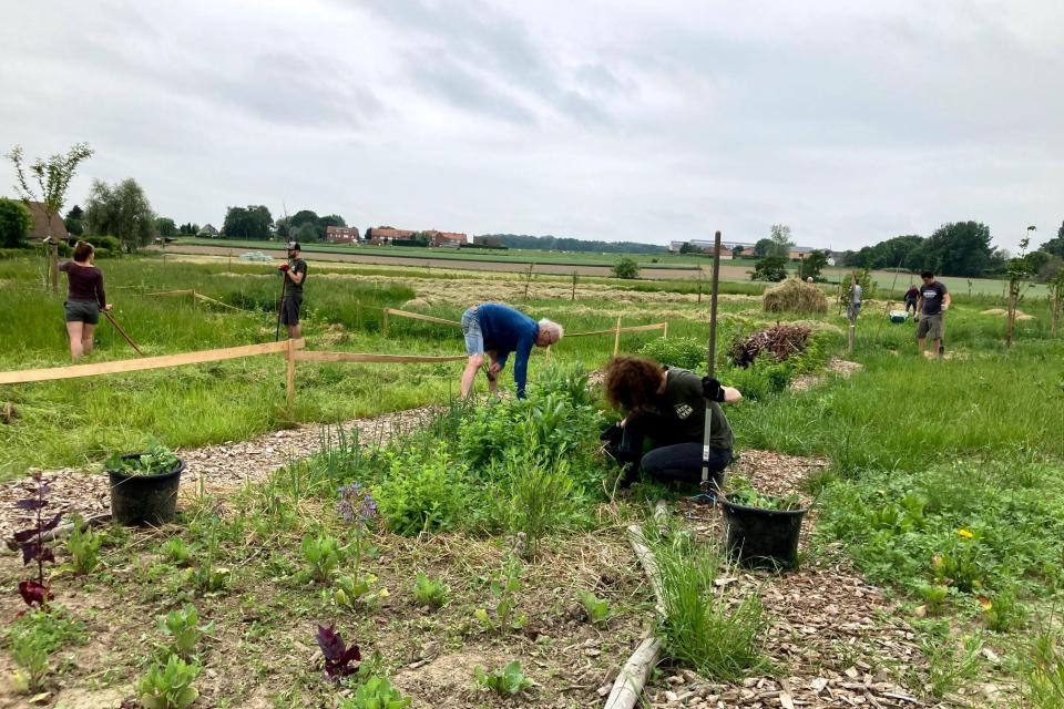 249.000 euro voor 14 nieuwe volkstuinprojecten