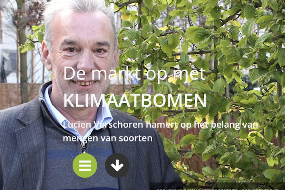 Met klimaatbomen de markt op