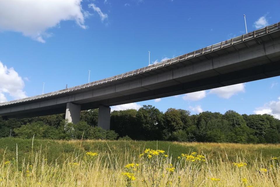 Vlaanderen gaat meest verharde Vlaamse gemeente vergroenen