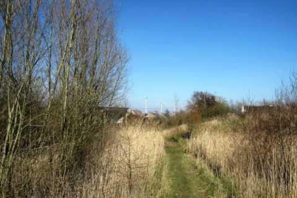 Kortrijk krijgt tweede ecologisch stadspark 