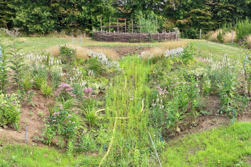 Meer biodiversiteit in wadi’s