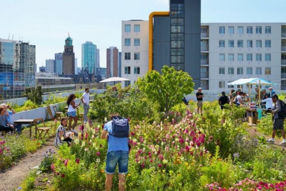 Groen wordt steeds belangrijker voor steden