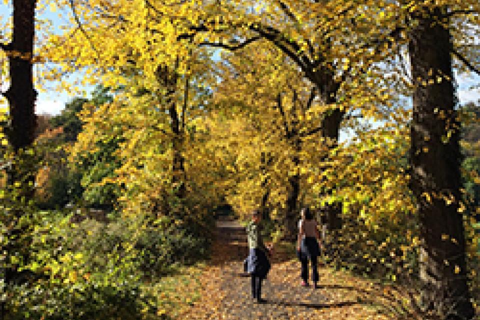 Advies Hoge Gezondheidsraad over natuur en gezondheid 