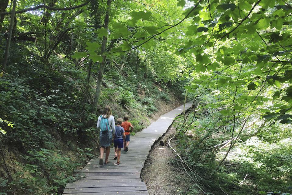 Dilbeek / Facelift natuurgebied Wolfsputten